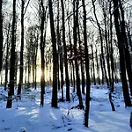 Neue Direkt Am Wald 아파트 *