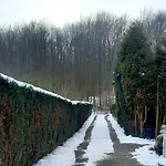Neue Direkt Am Wald 뷔케부르크
