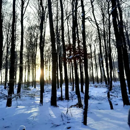 Neue Direkt Am Wald Апартаменты *