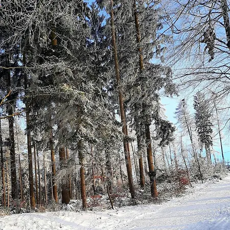 Neue Direkt Am Wald Апартаменты *