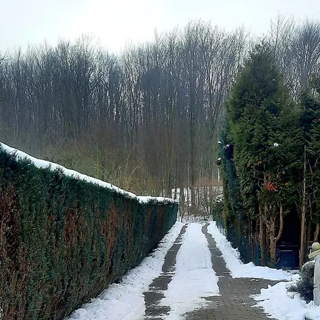 Neue Direkt Am Wald Бюккебург