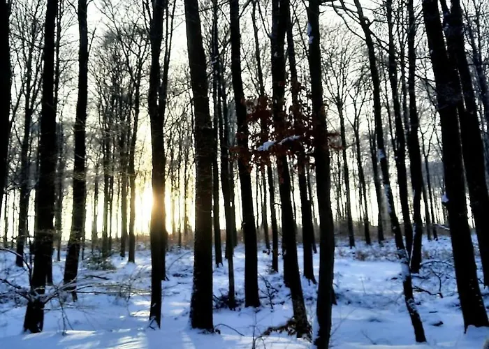 Neue Direkt Am Wald Lägenhet *