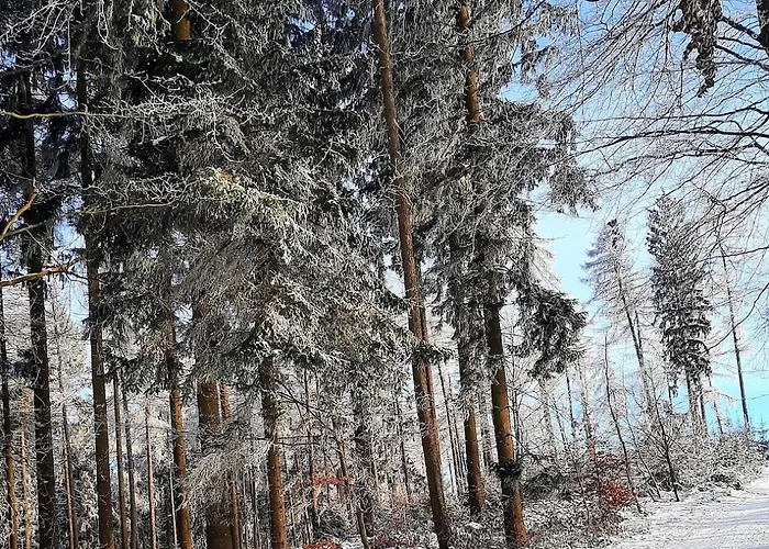 Neue Direkt Am Wald Lägenhet *