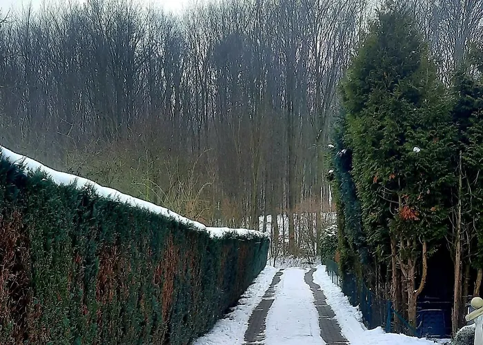 Neue Direkt Am Wald Bückeburg
